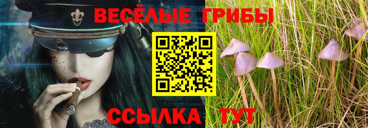 Галлюциногенные грибы прущие грибы Советск