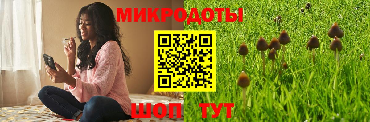 Советск  Псилоцибиновые грибы мицелий  Вход с VPN 
